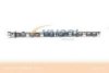 VAICO V20-0195 Camshaft